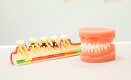 幅広い歯科治療に対応